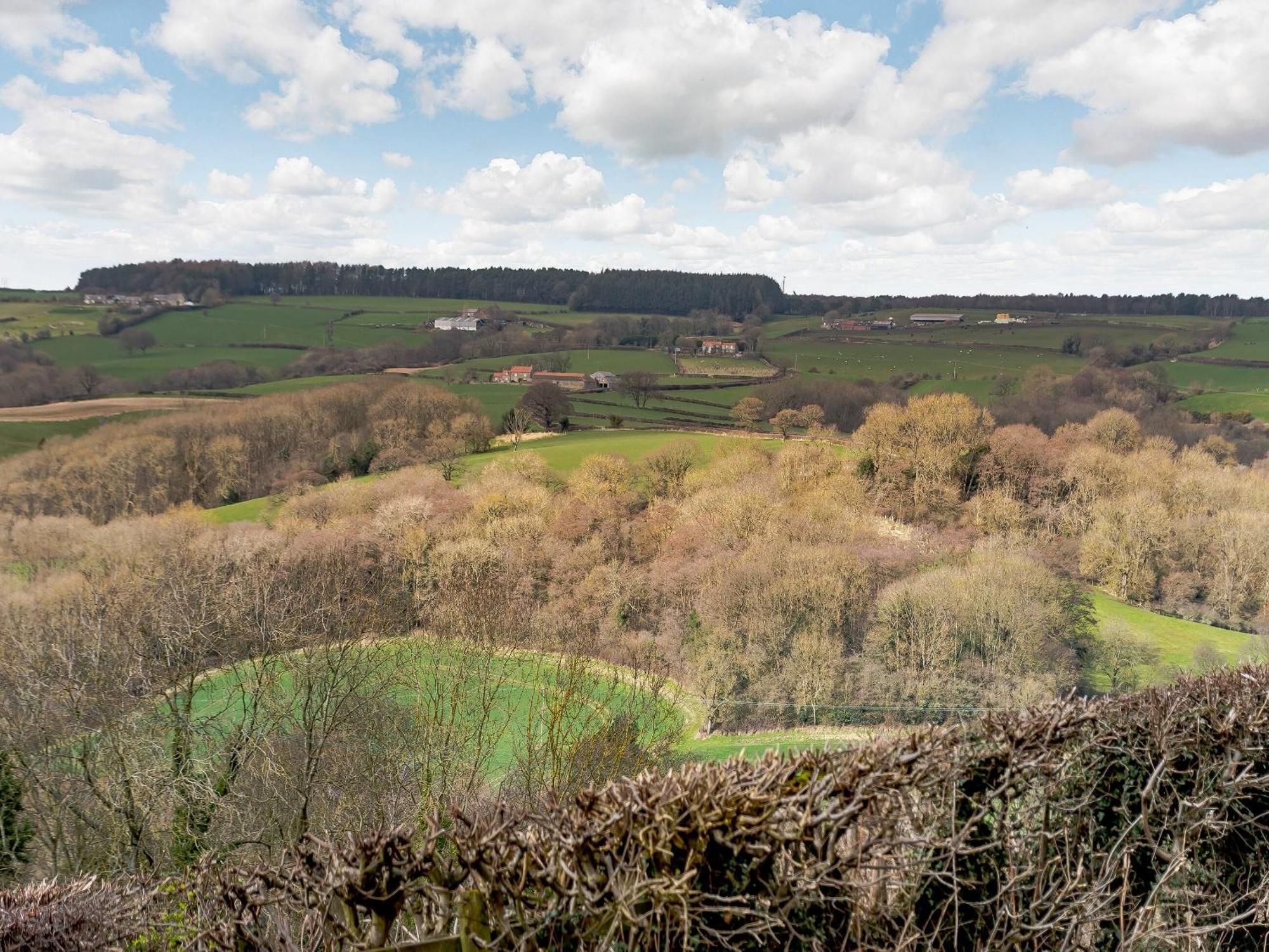 Esk Dale View Villa Grosmont  Exteriör bild